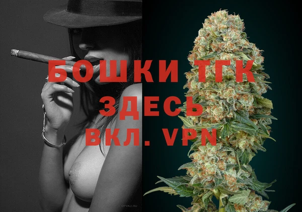 прущая мука Вяземский